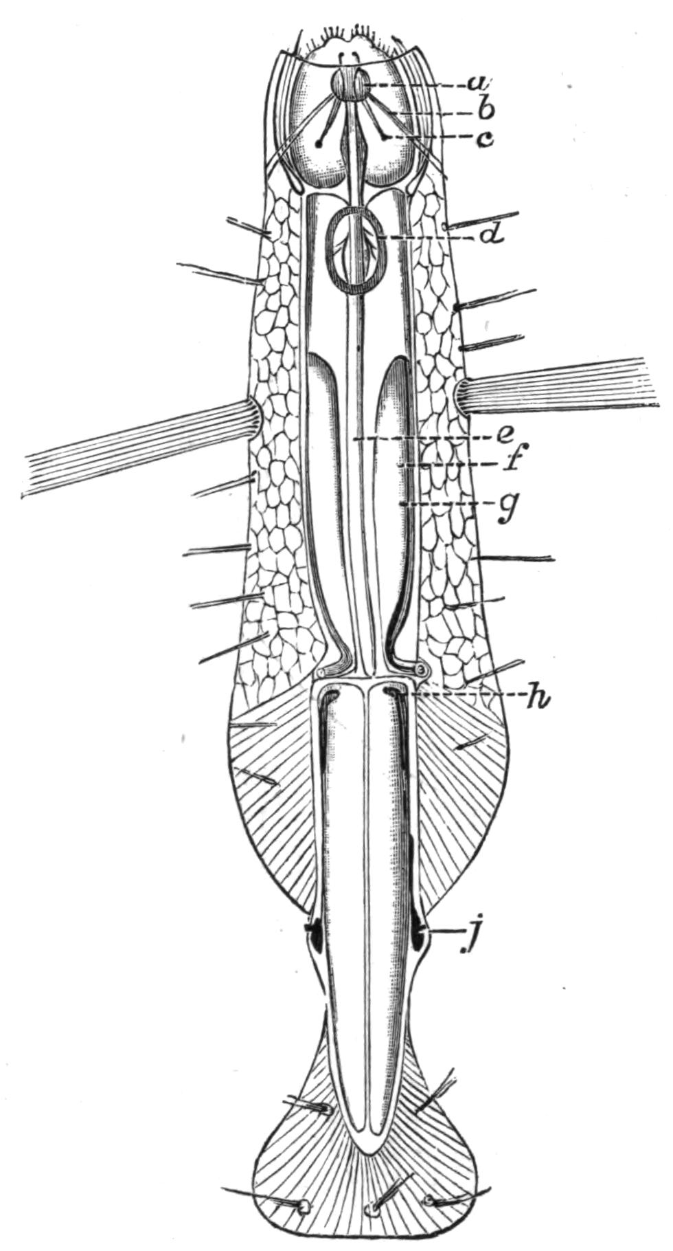fig105