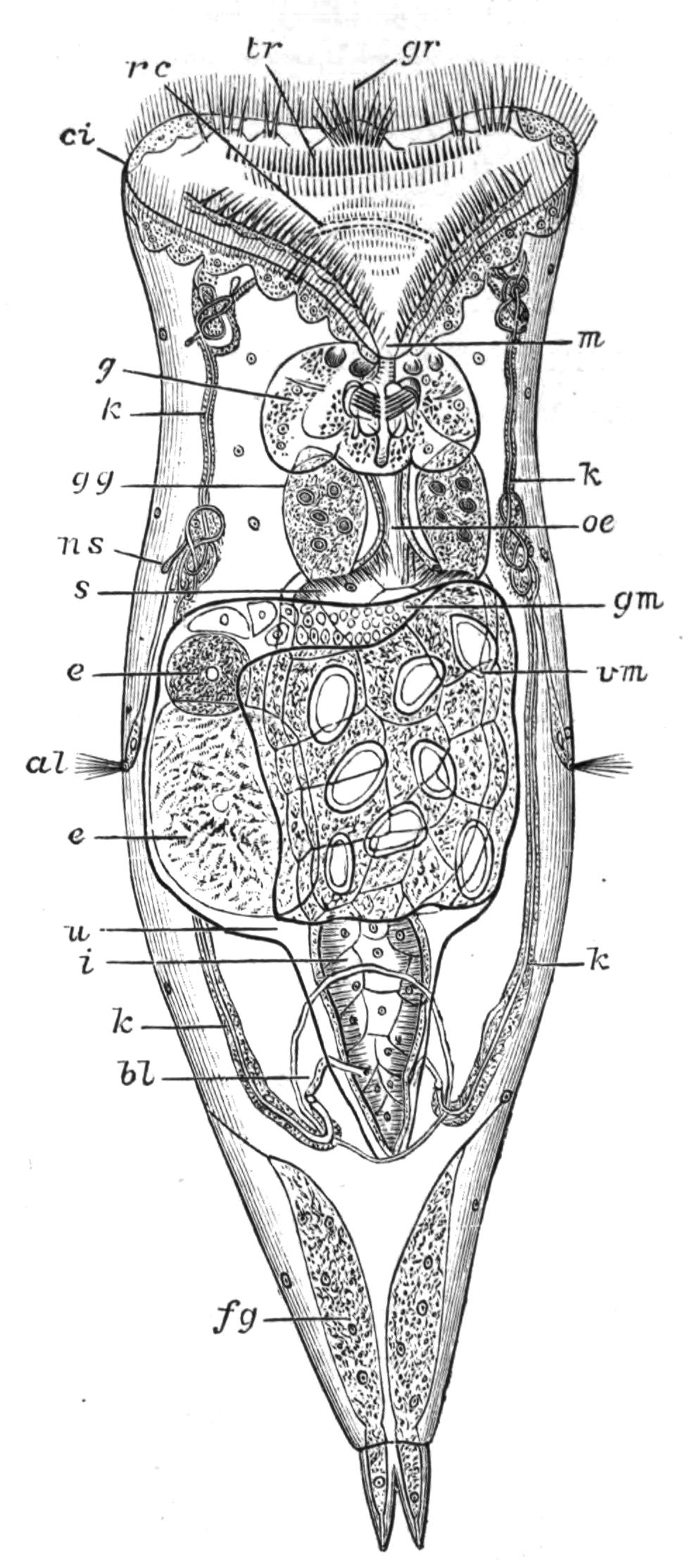 fig106