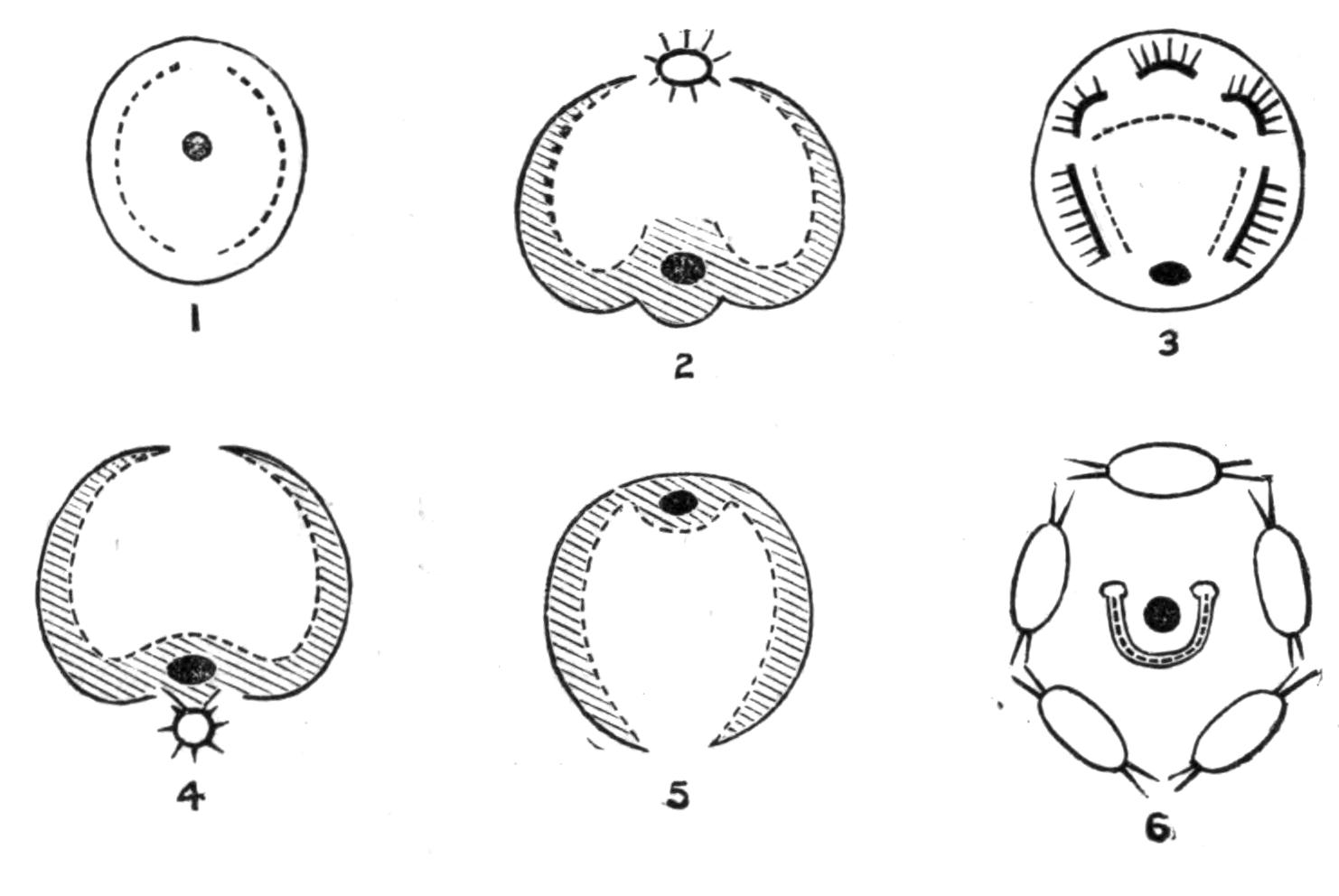 fig108