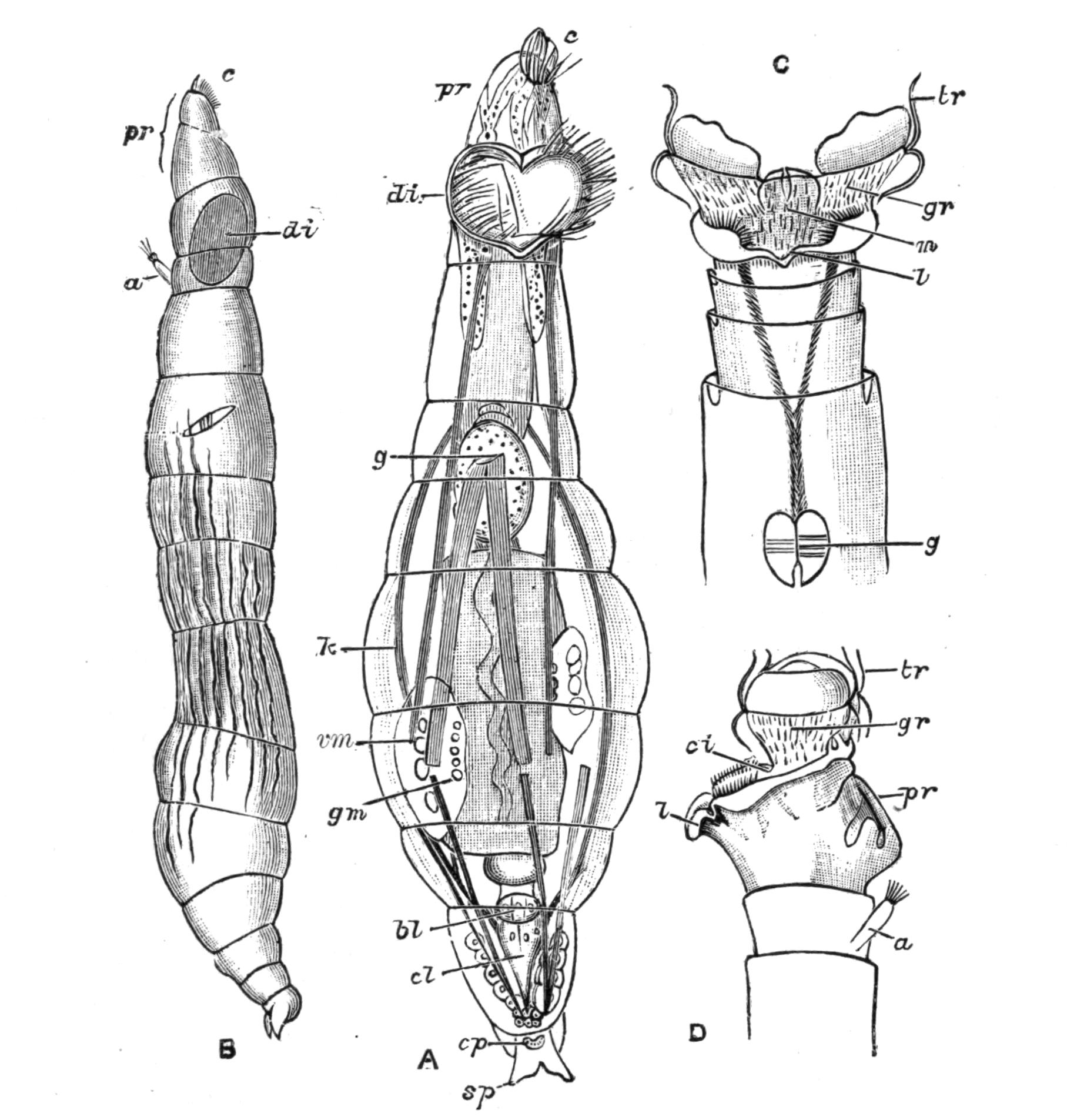 fig109