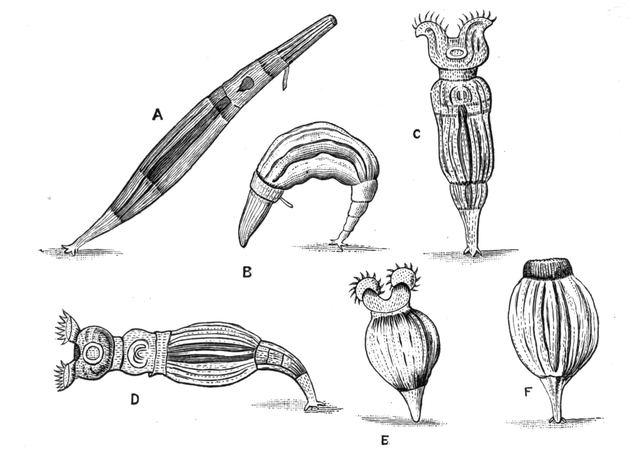 fig110