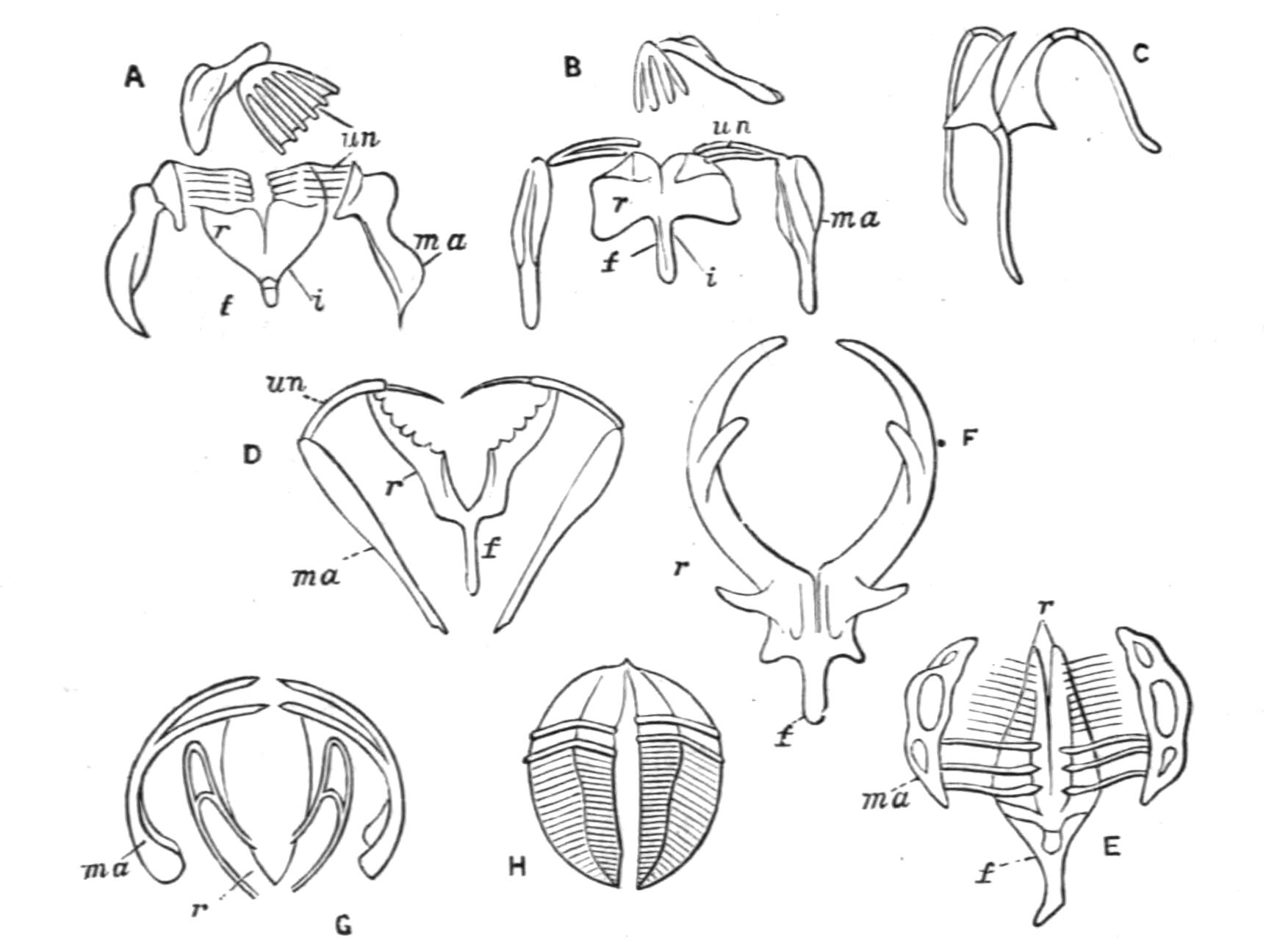 fig111