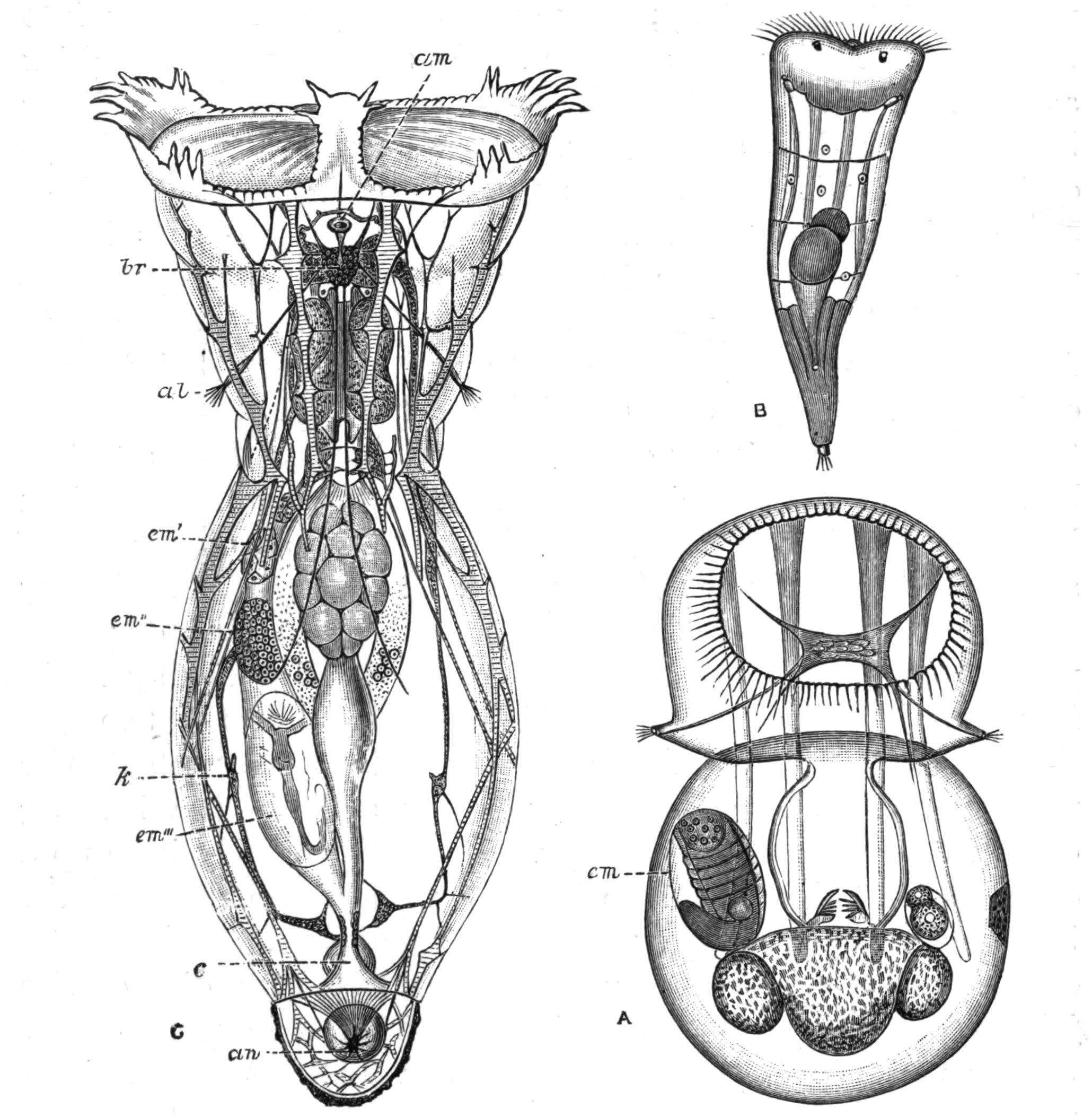 fig112