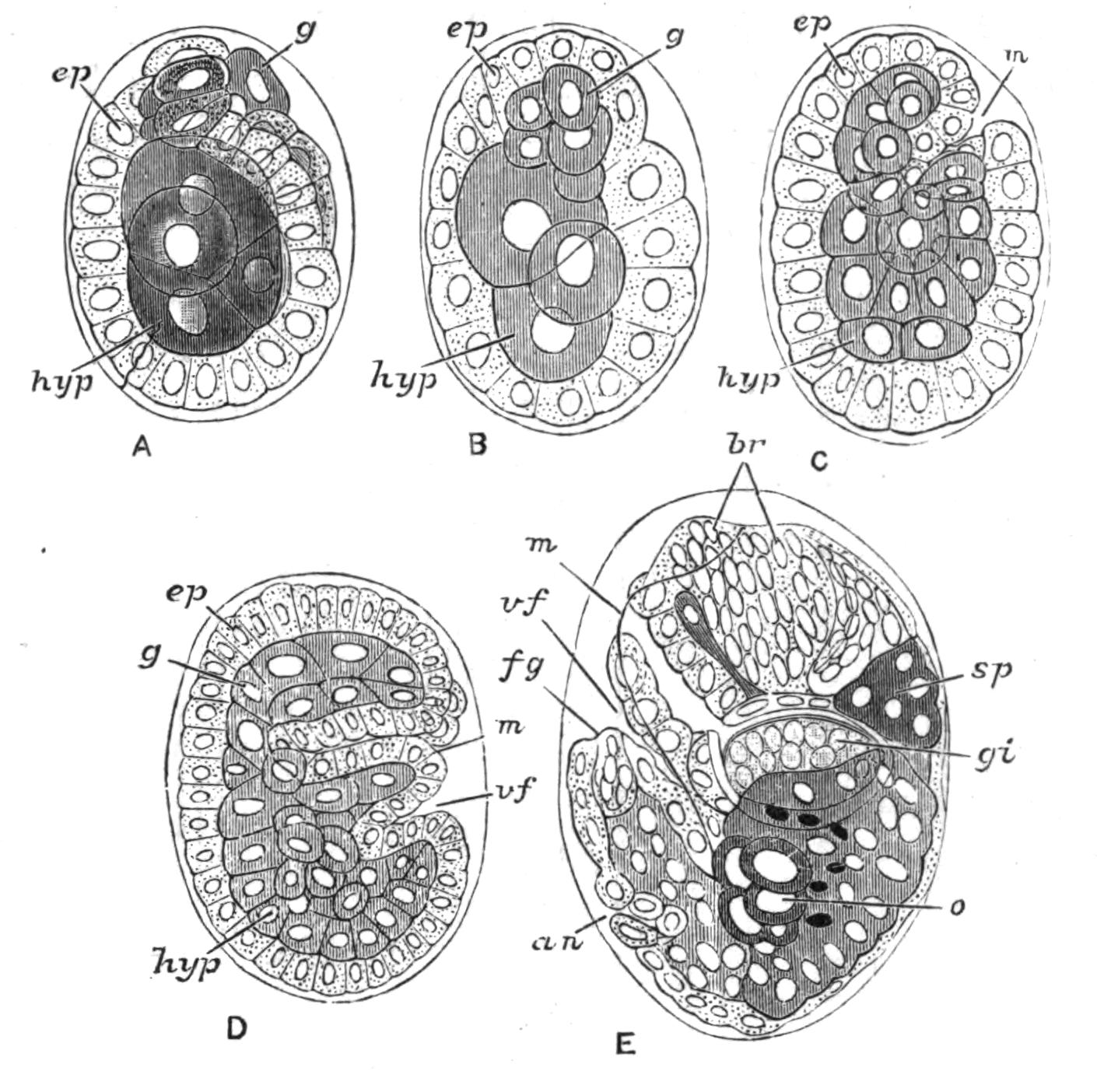 fig114