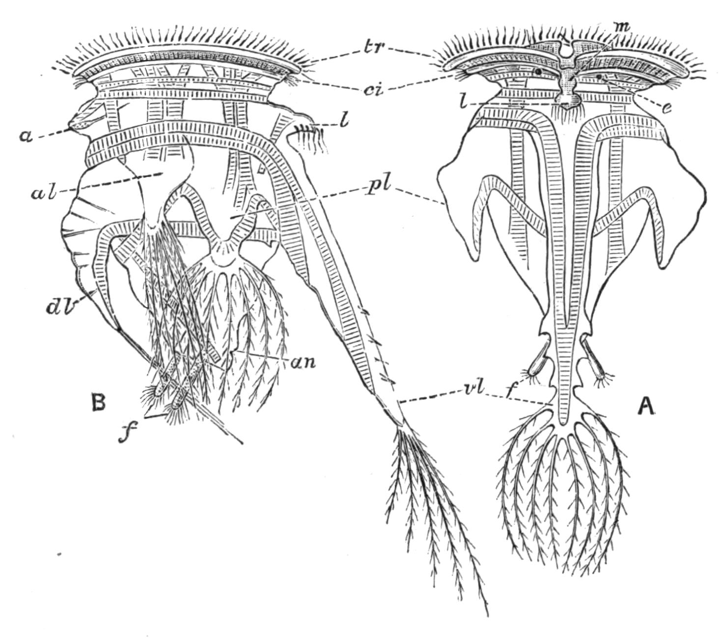 fig117