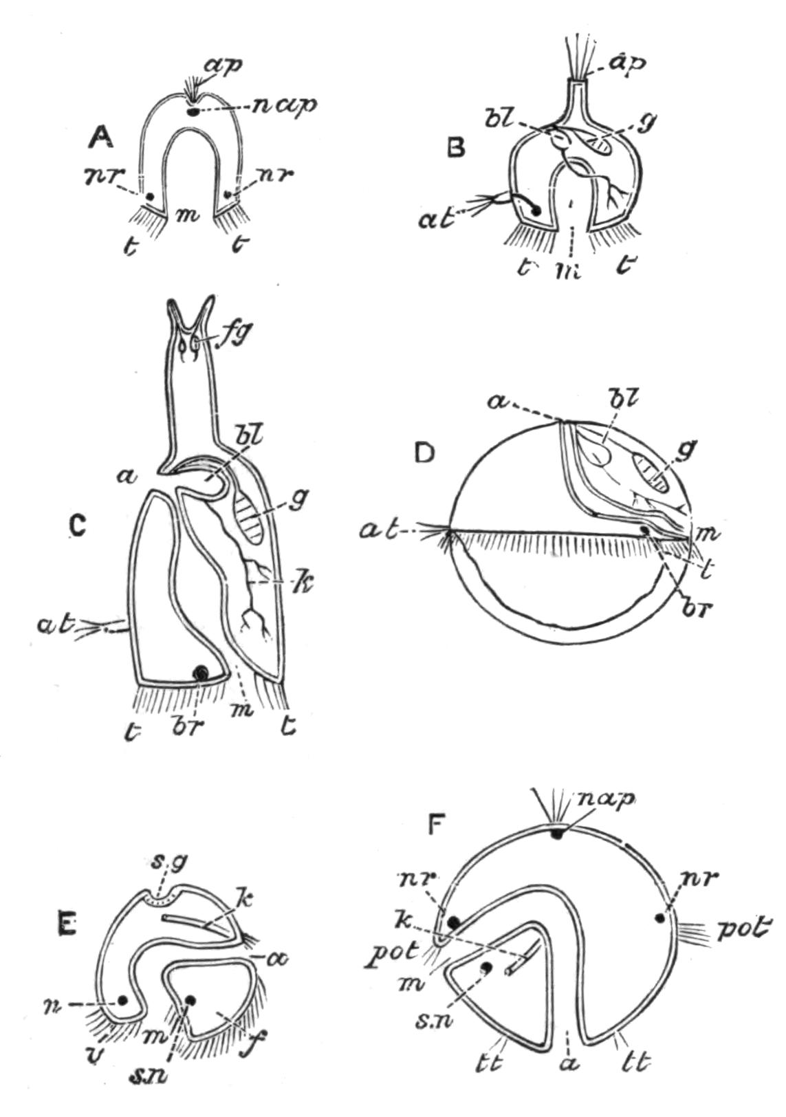 fig118