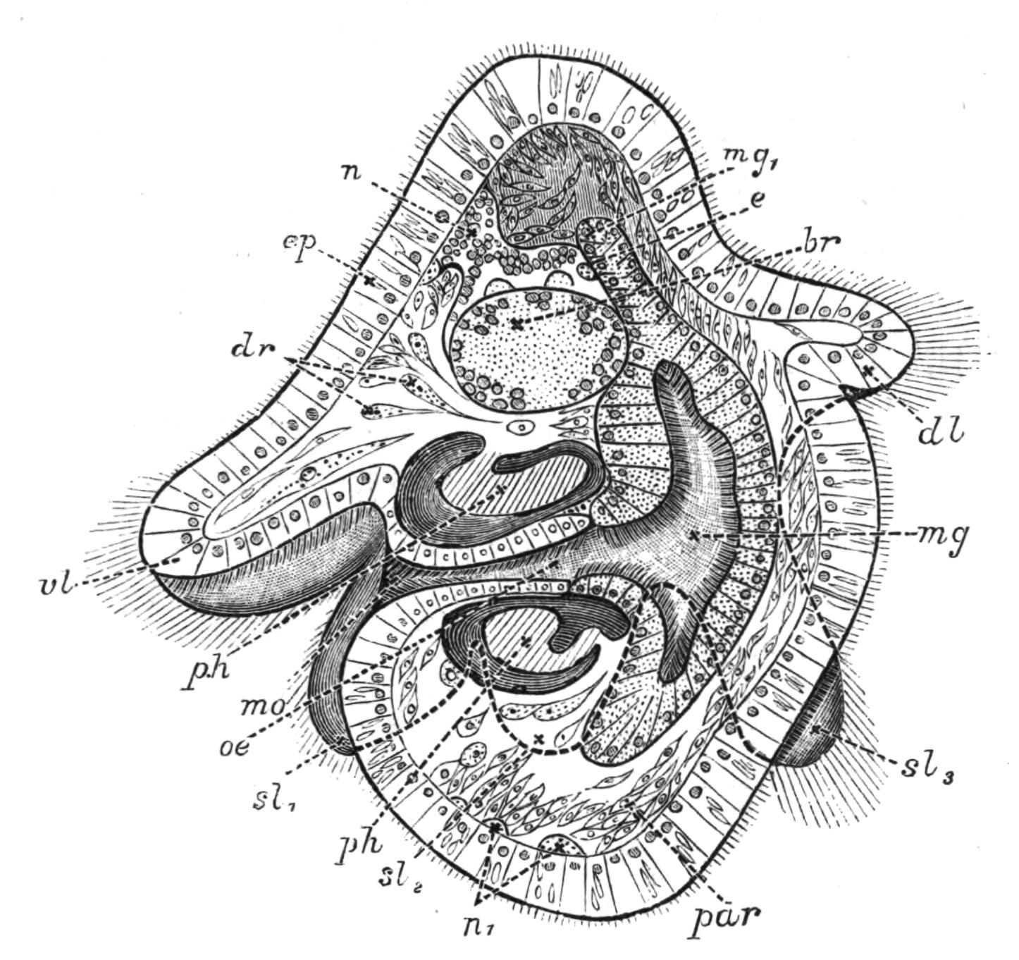 fig12