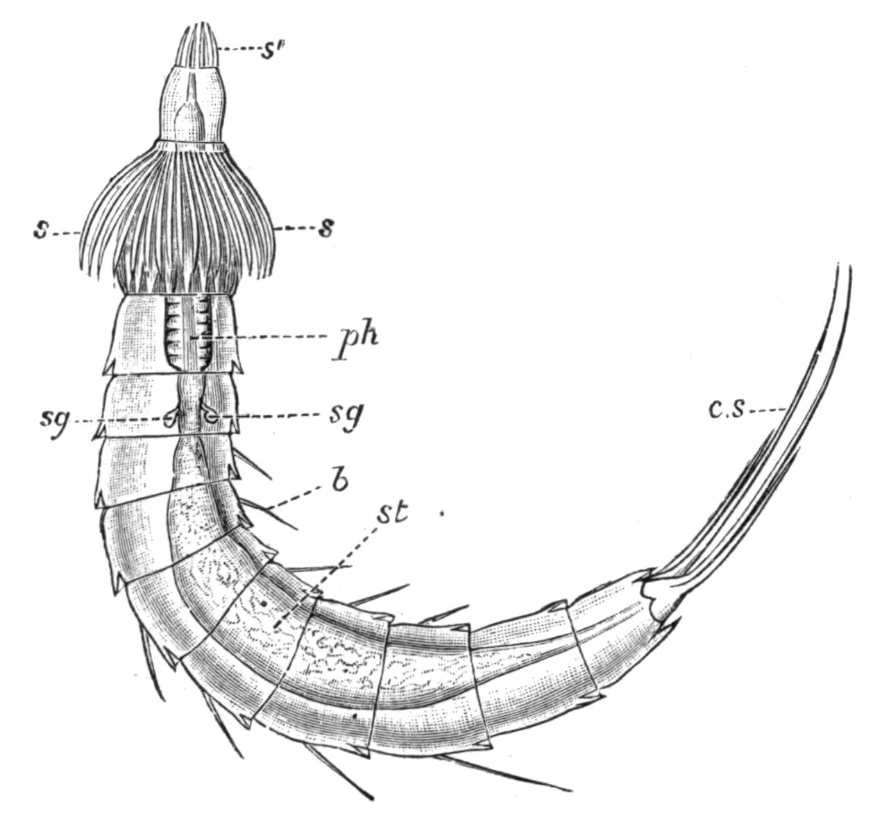 fig120