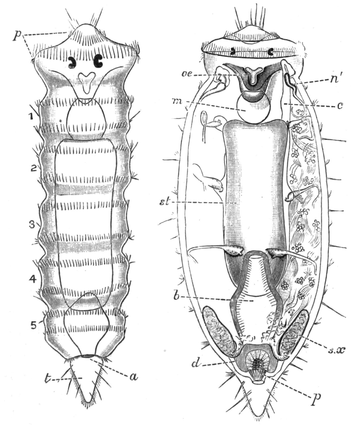 fig121