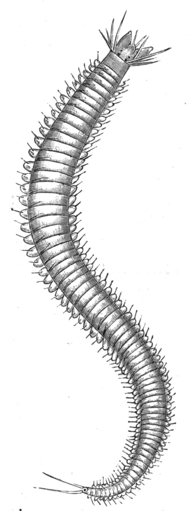 fig122