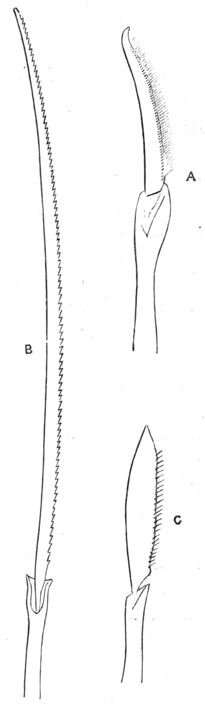 fig123