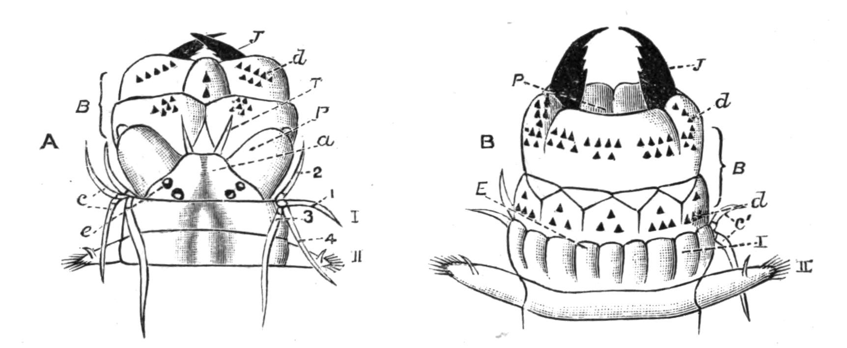 fig125