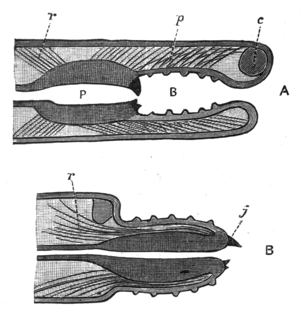 fig126