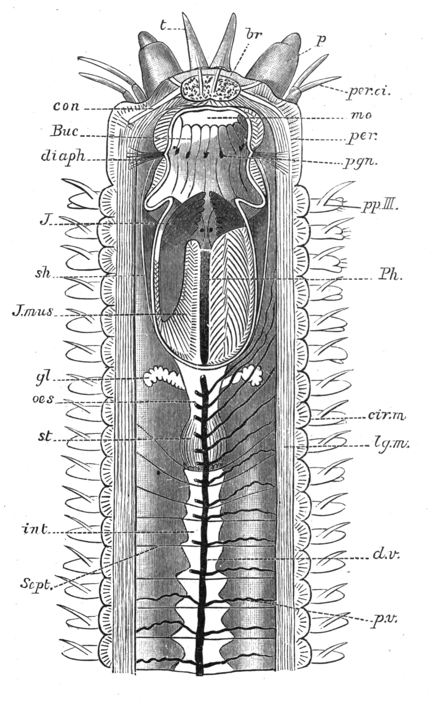 fig127