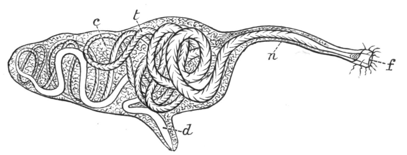 fig128
