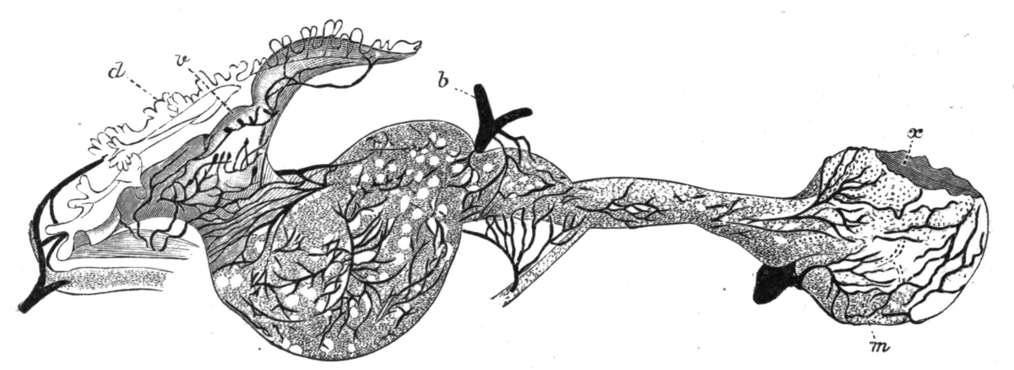 fig129