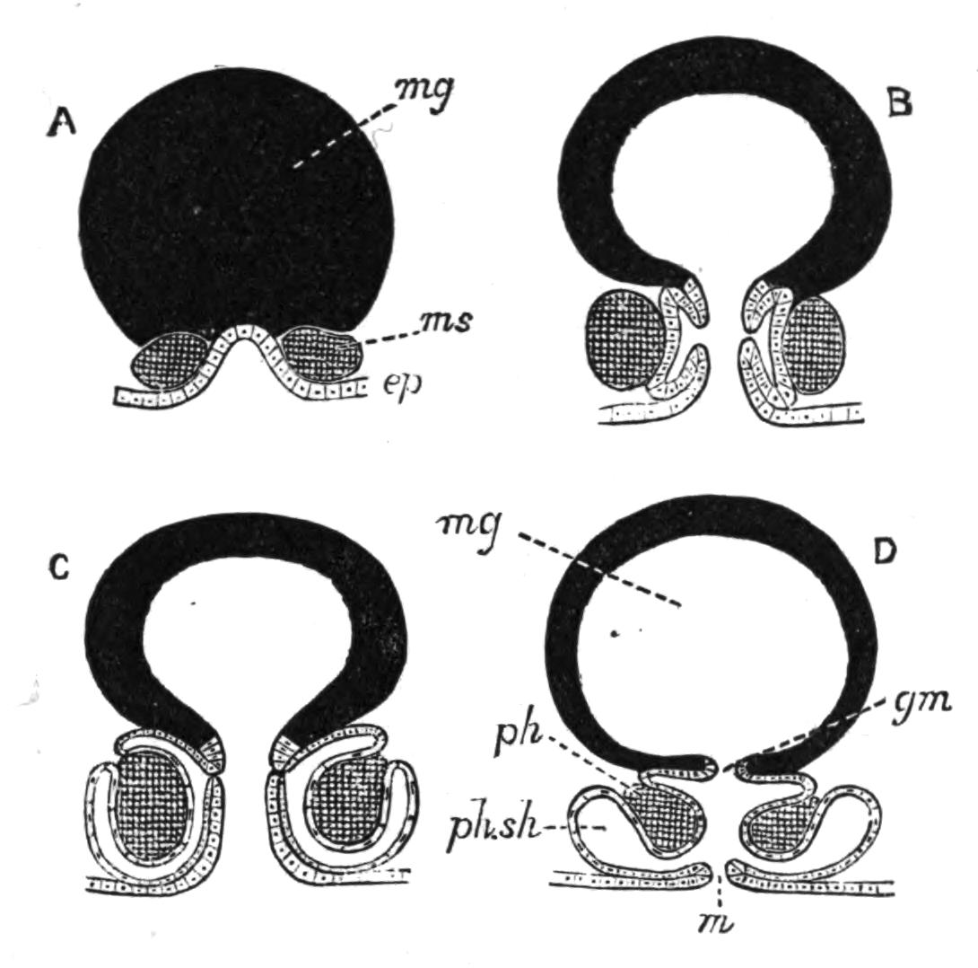 fig13