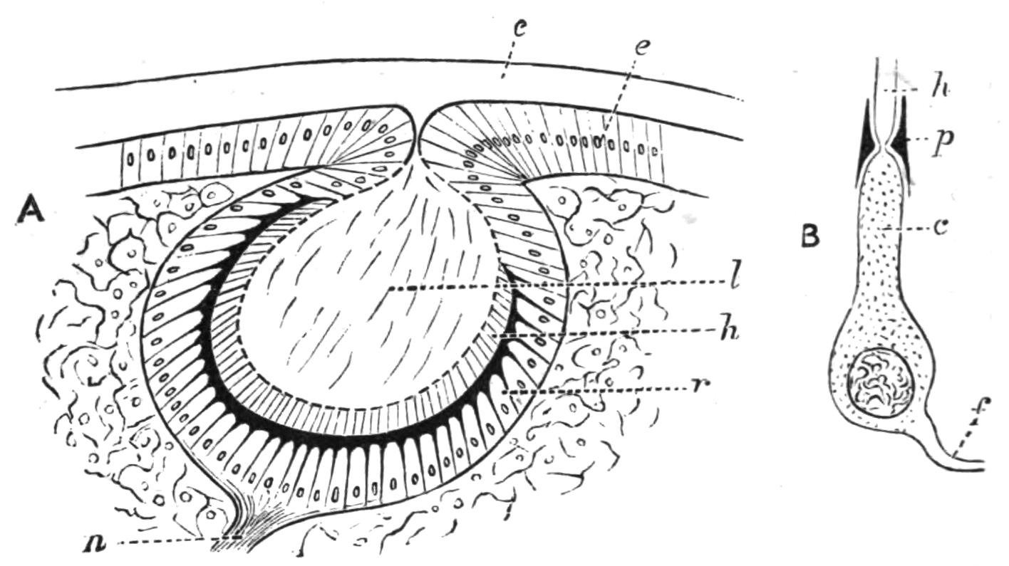 fig130