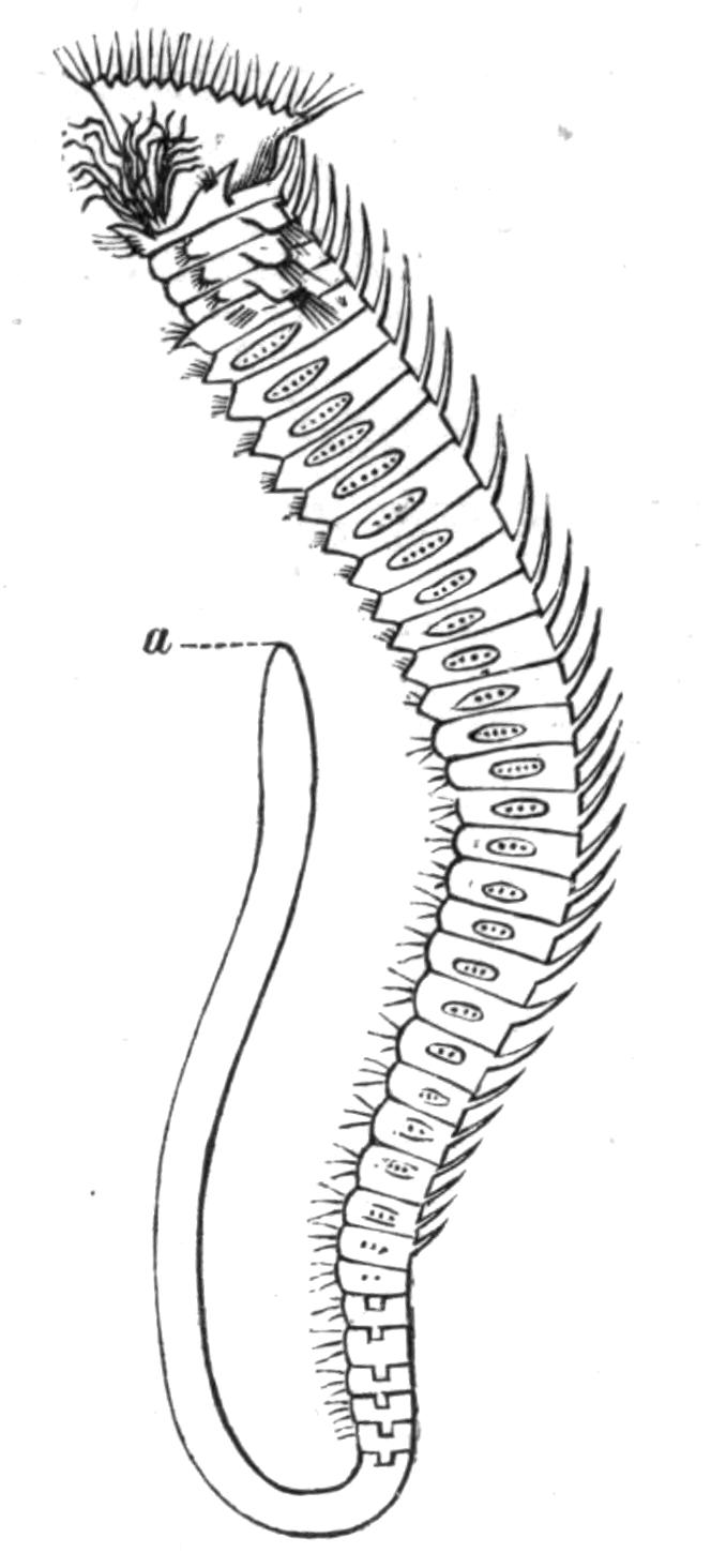 fig131