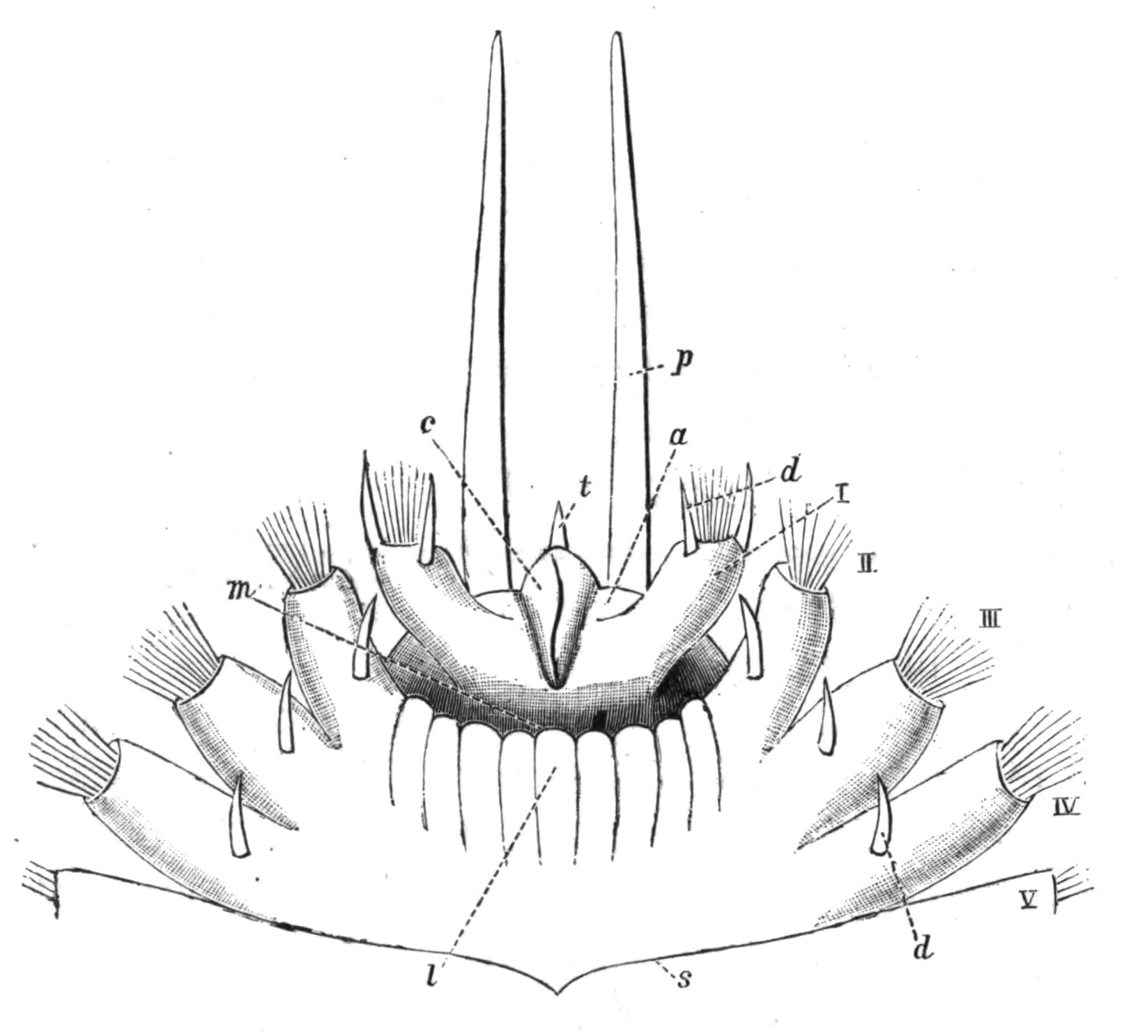 fig132