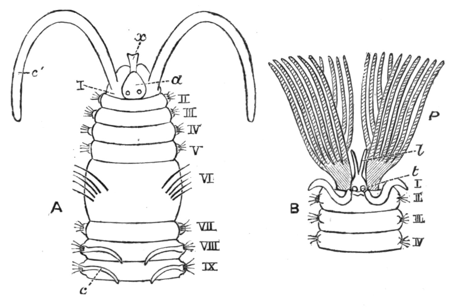 fig133