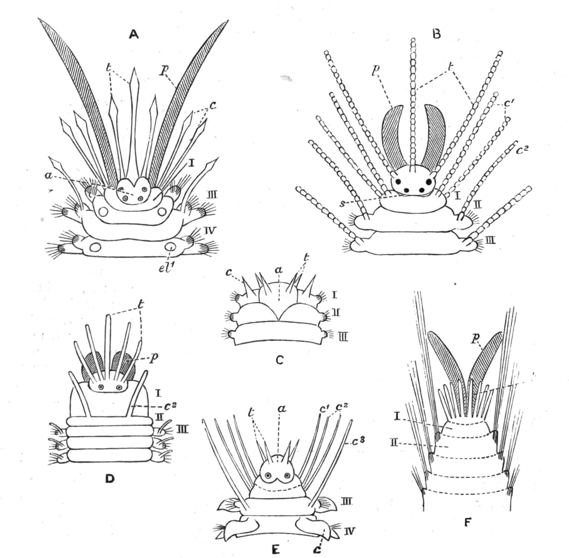 fig134