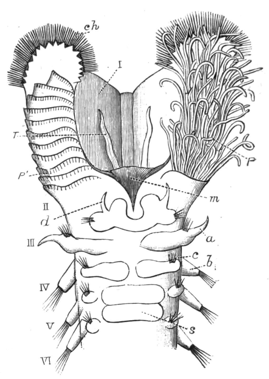 fig135