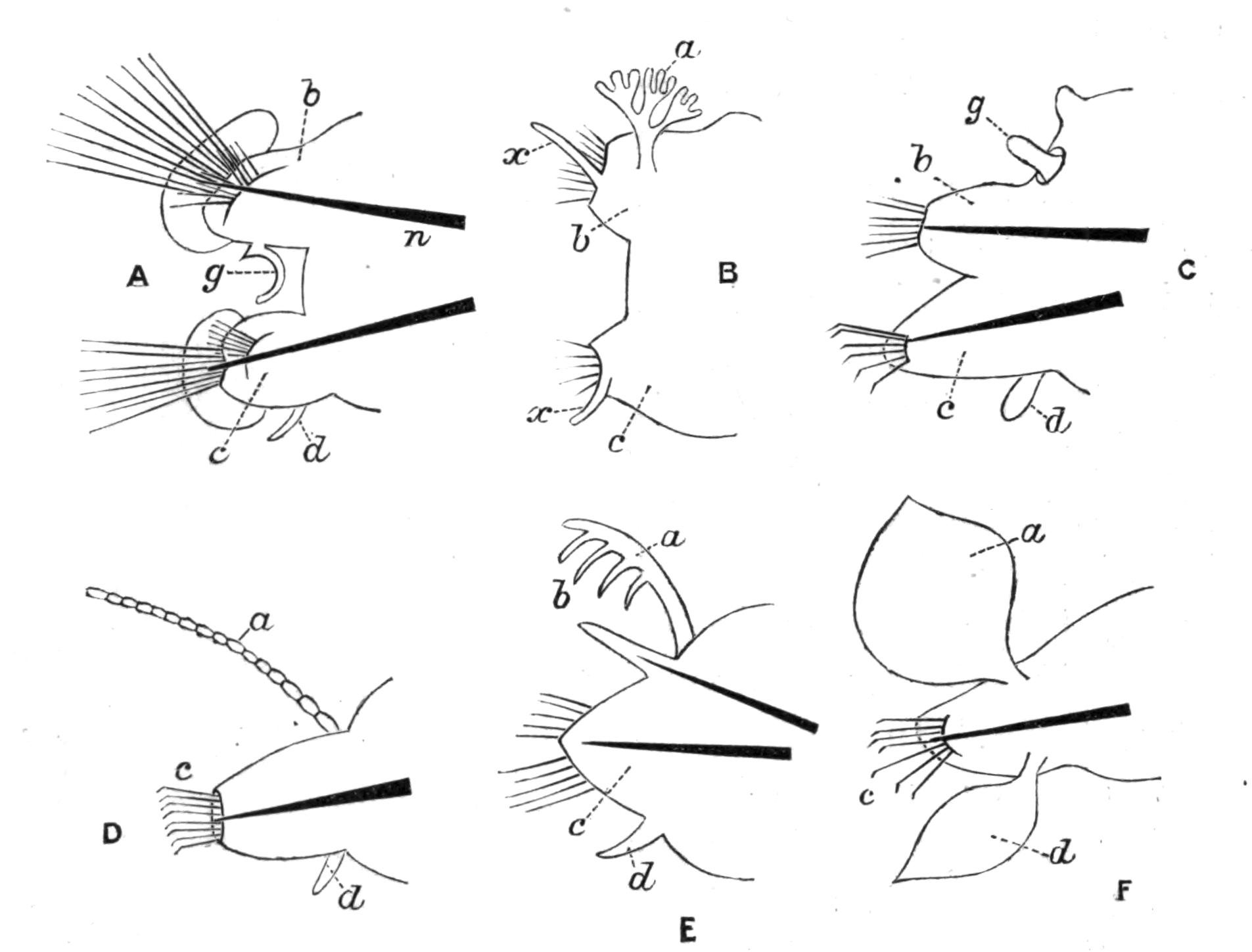 fig136