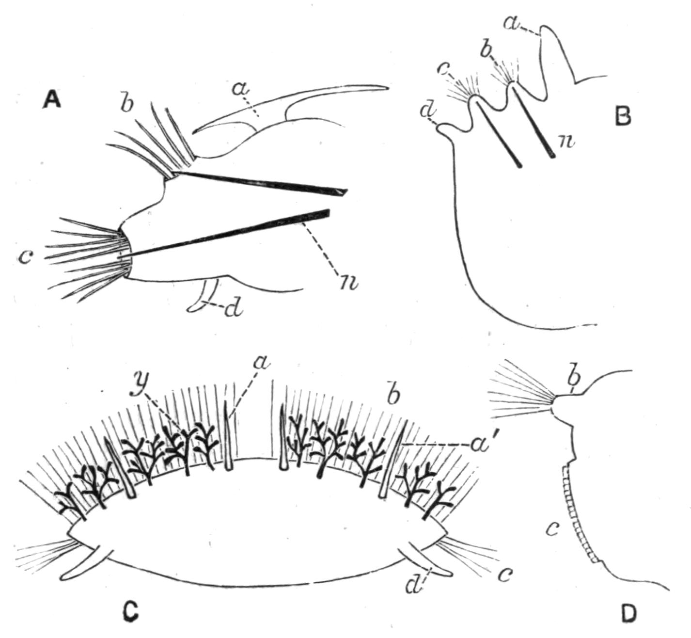 fig137