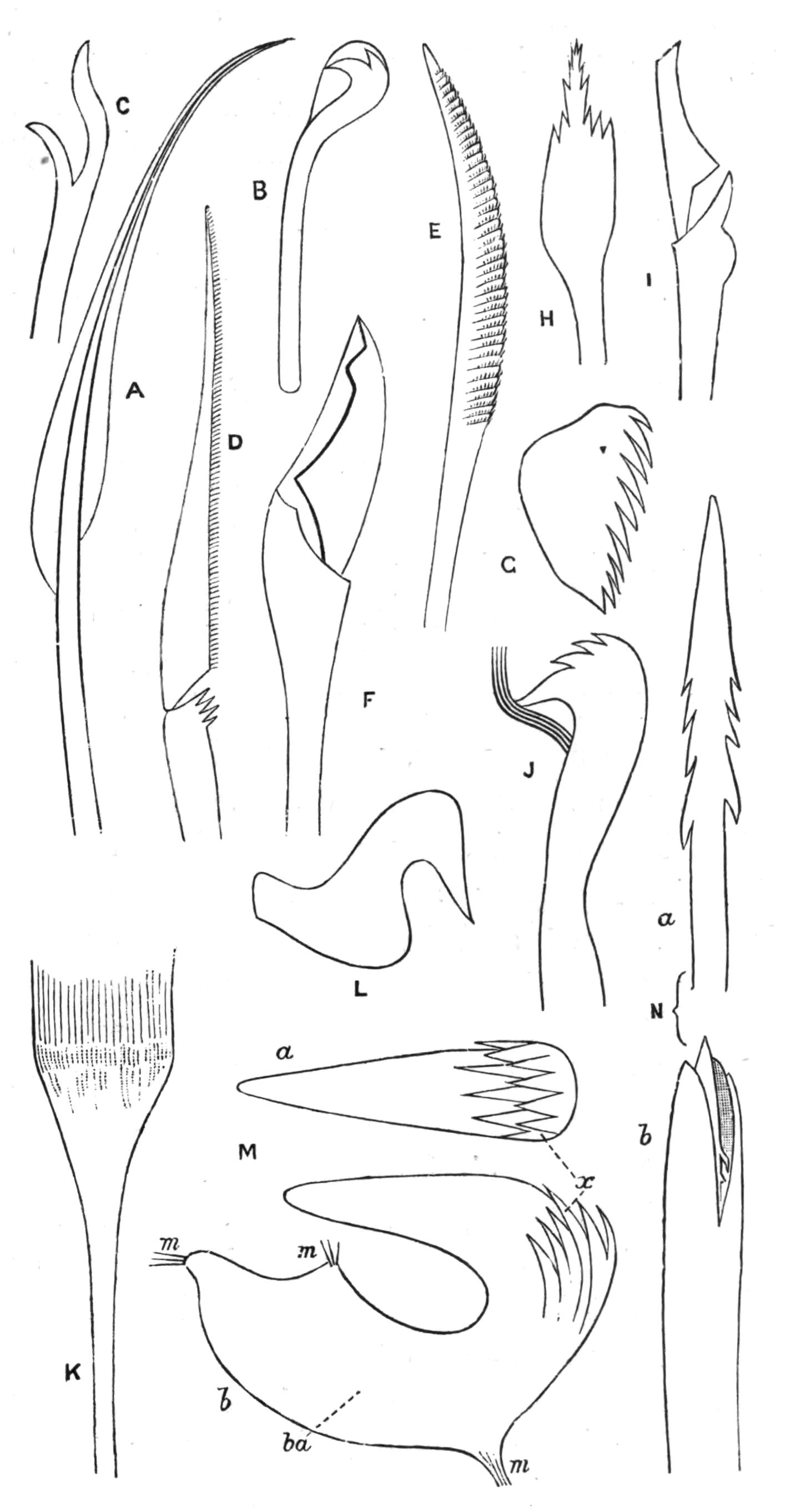 fig138