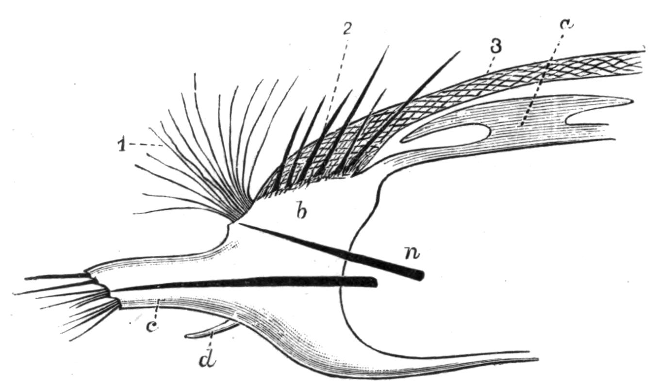 fig139
