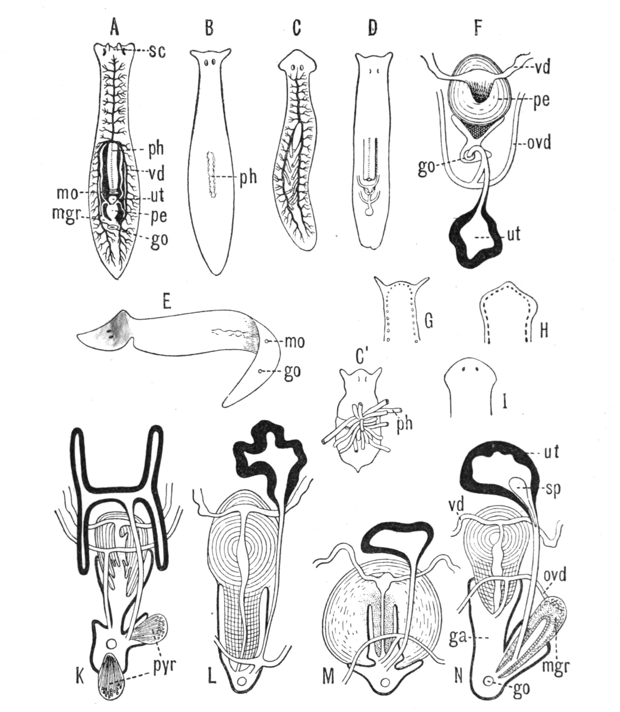 fig14