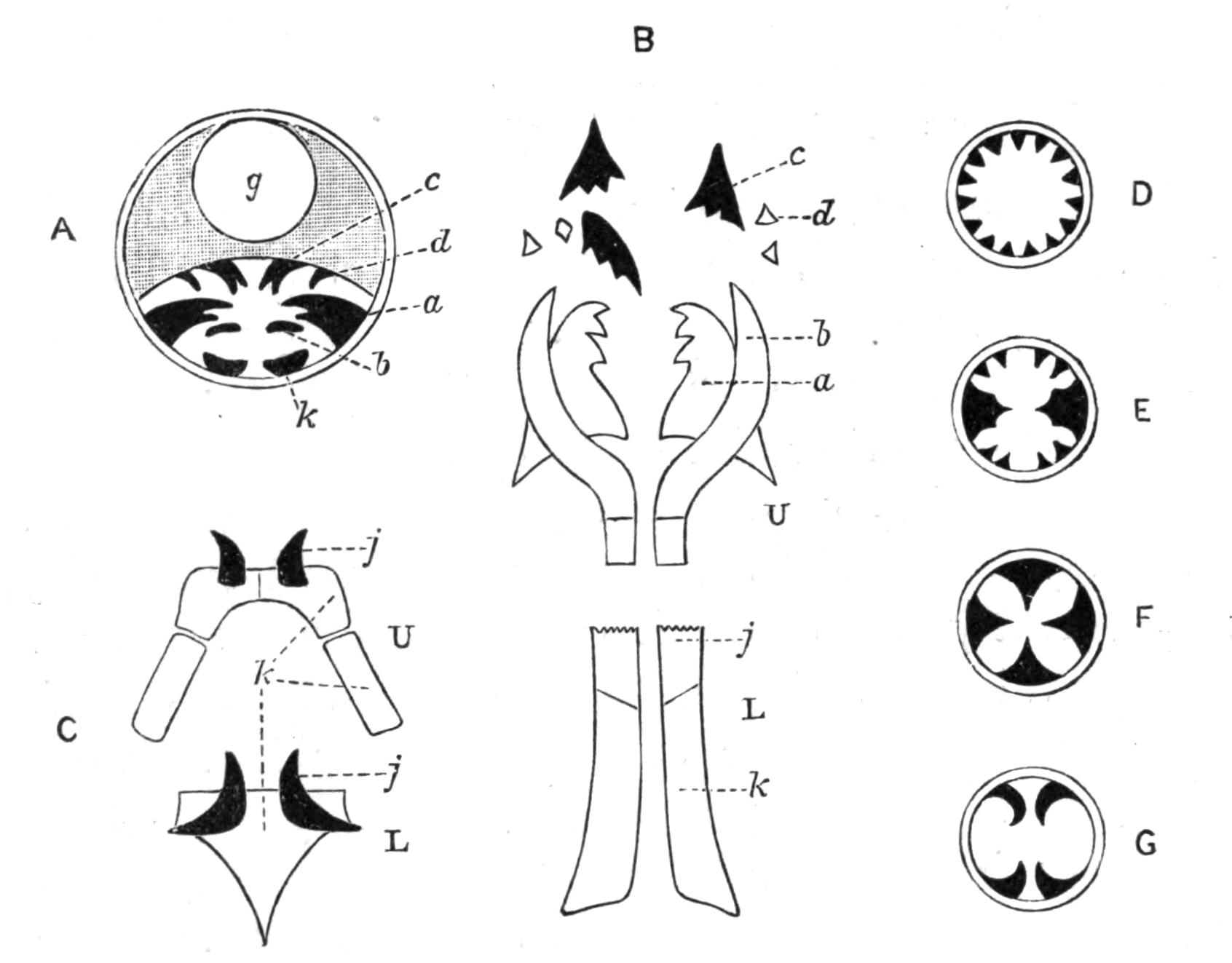 fig140