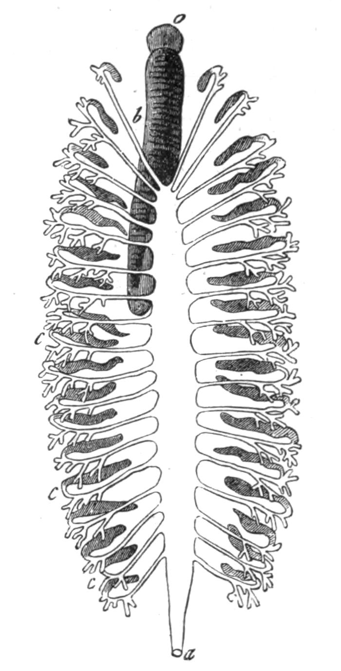 fig142