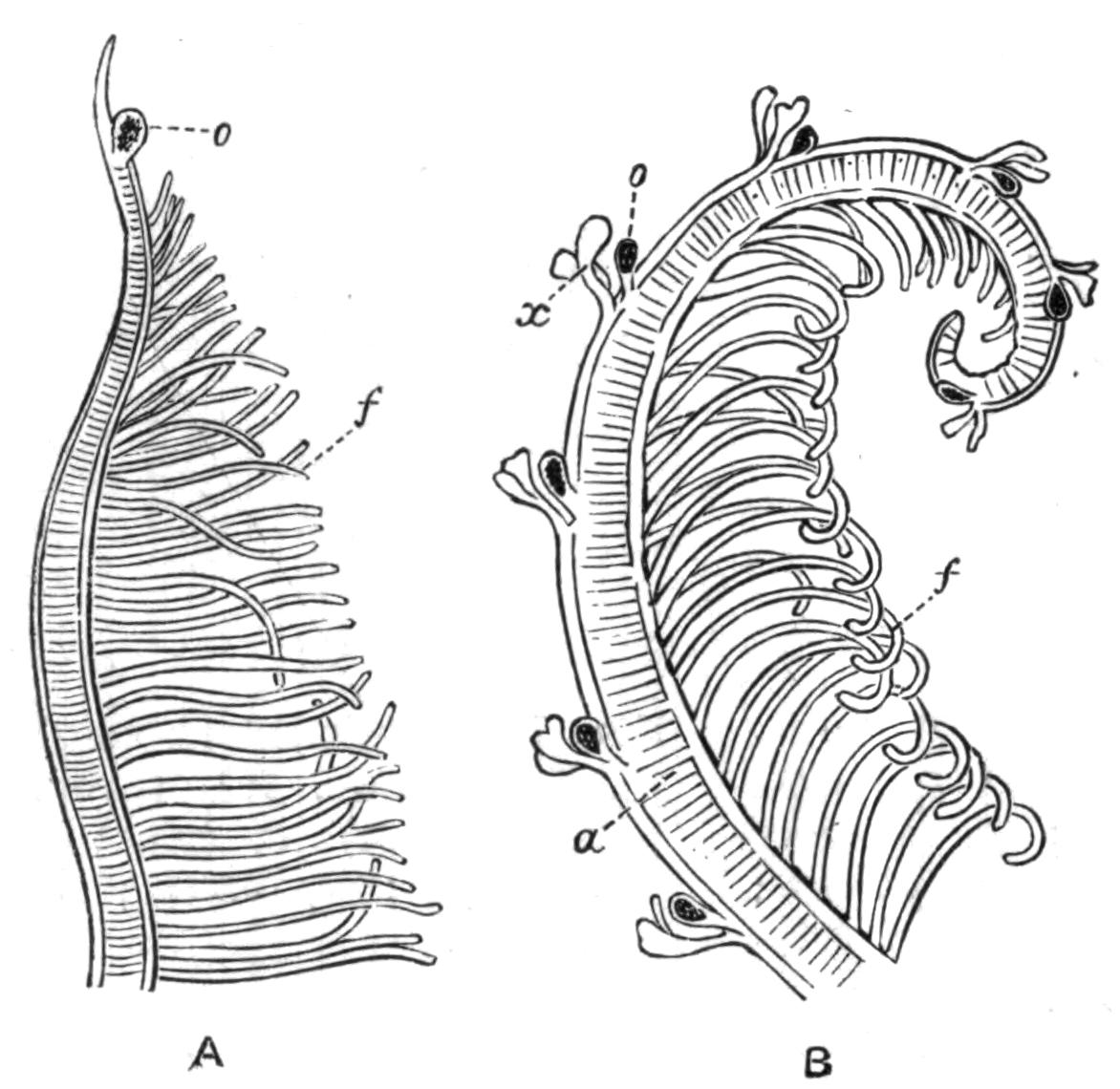 fig143