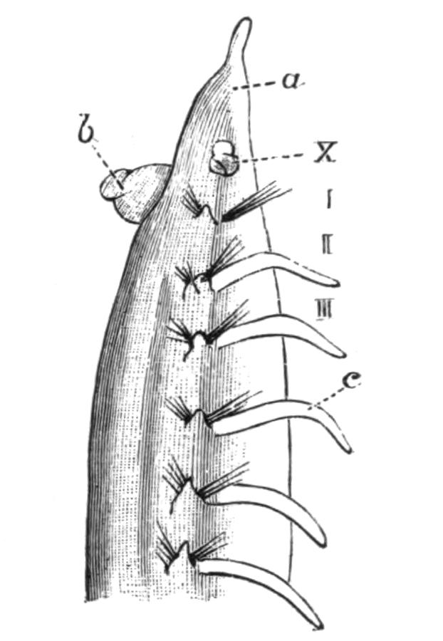 fig144