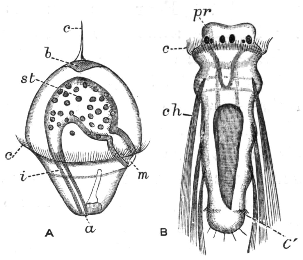 fig145