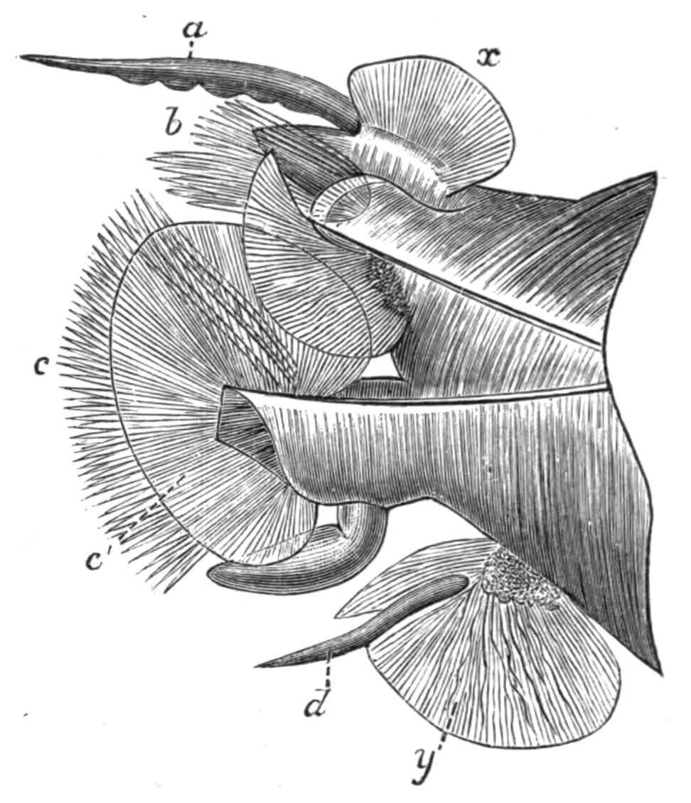 fig147