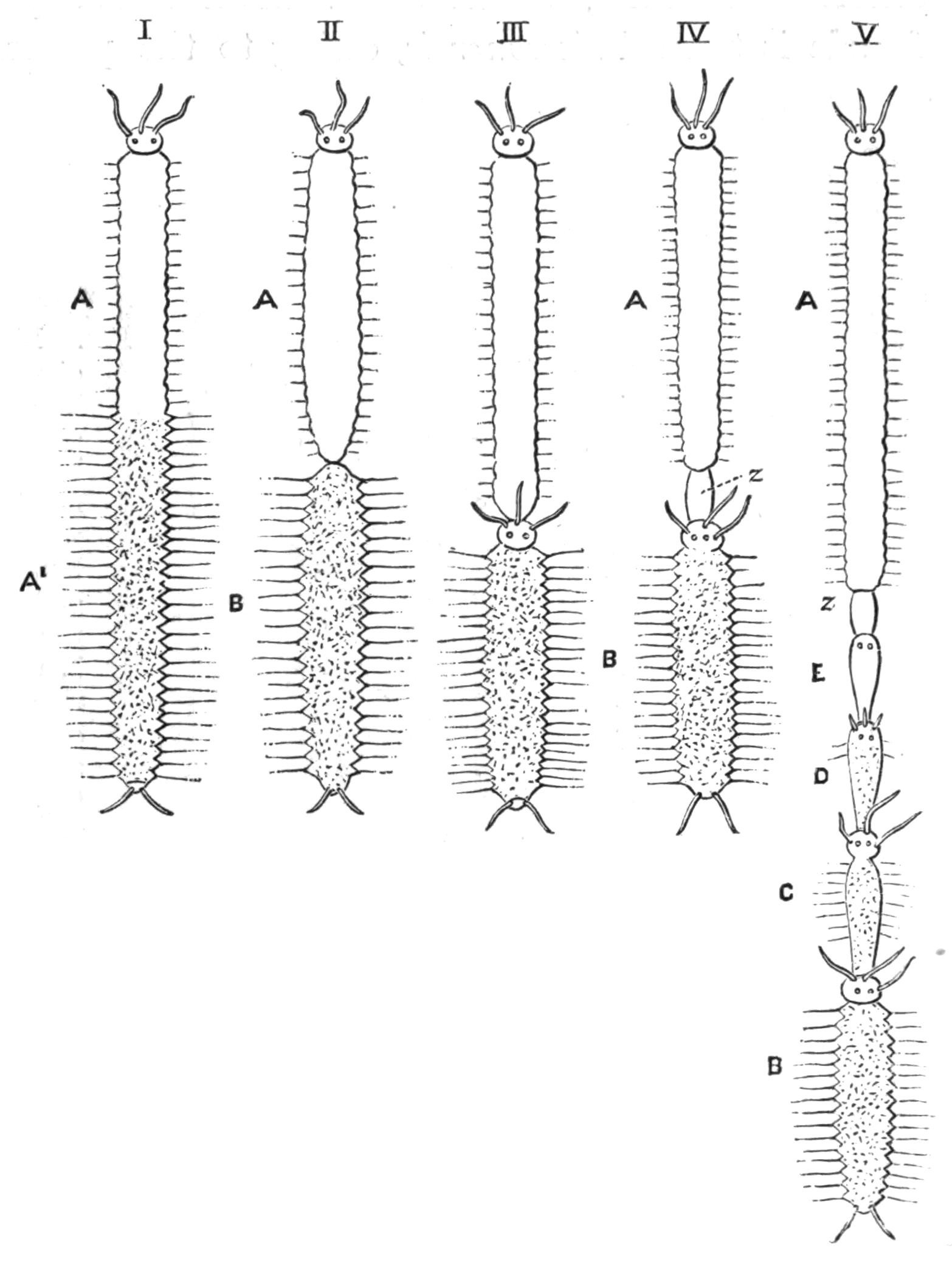fig148