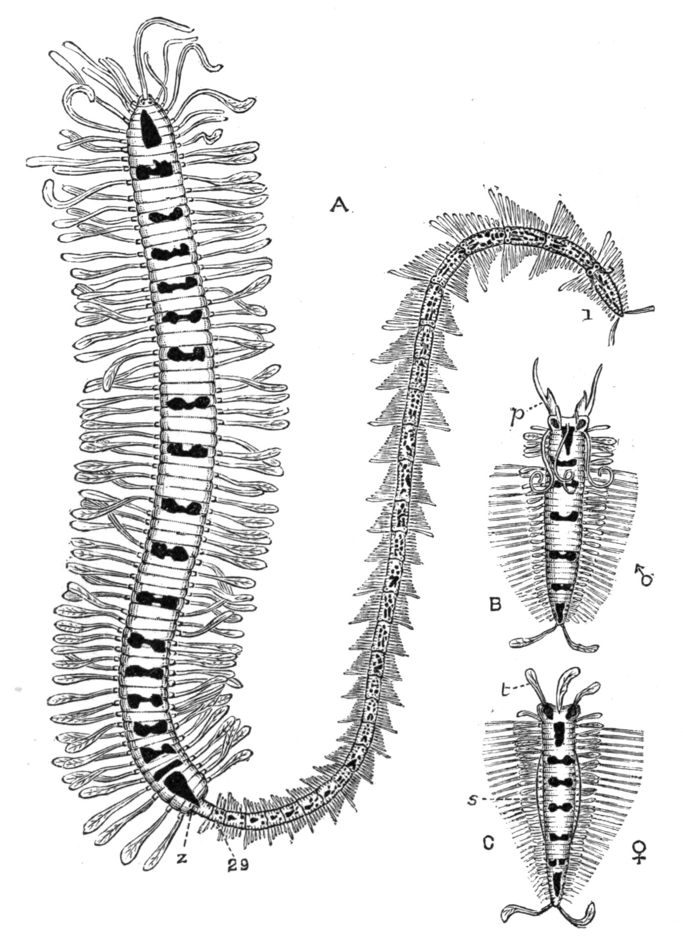 fig149