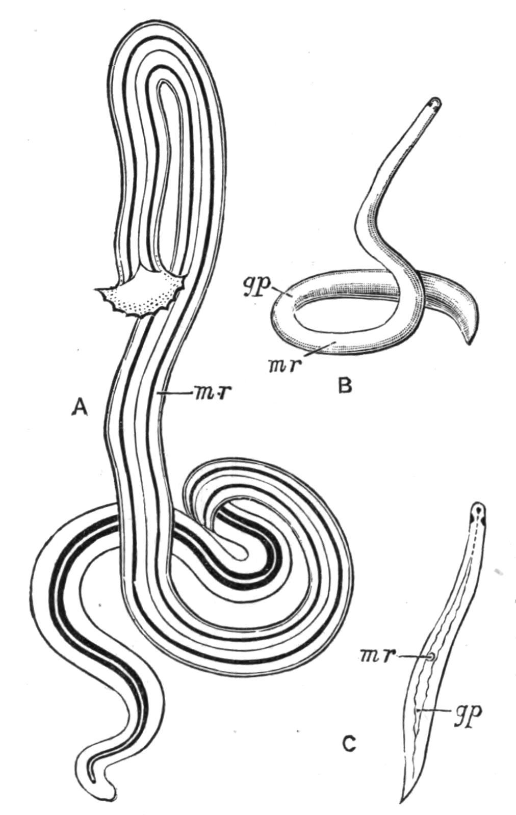 fig15