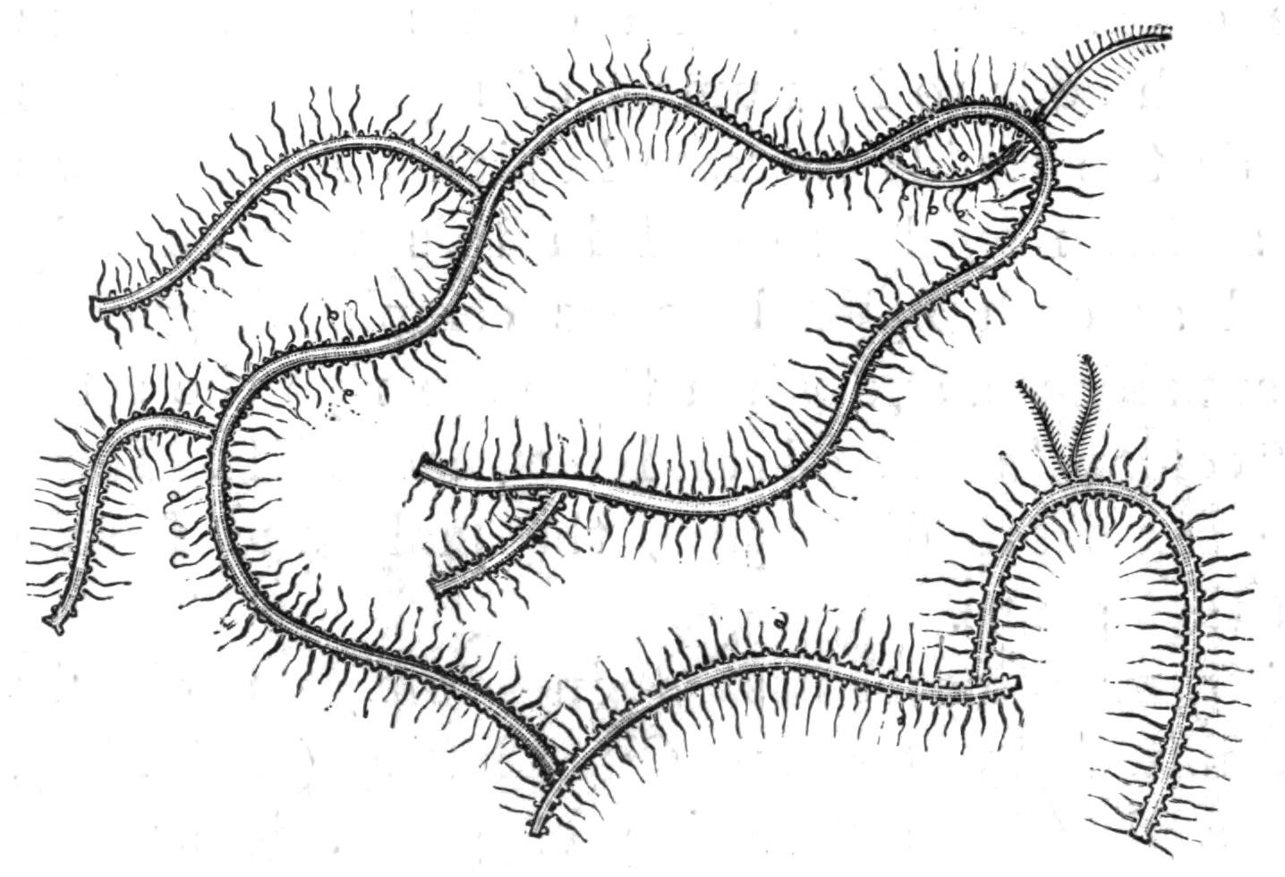 fig150