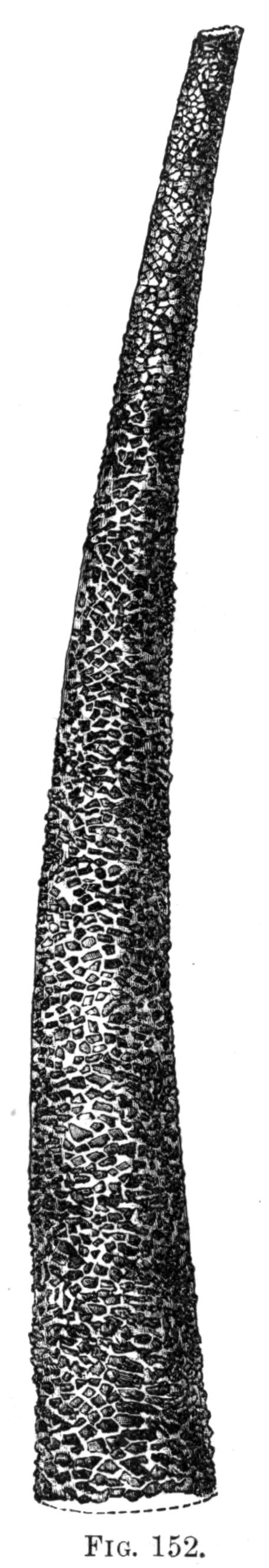 fig152
