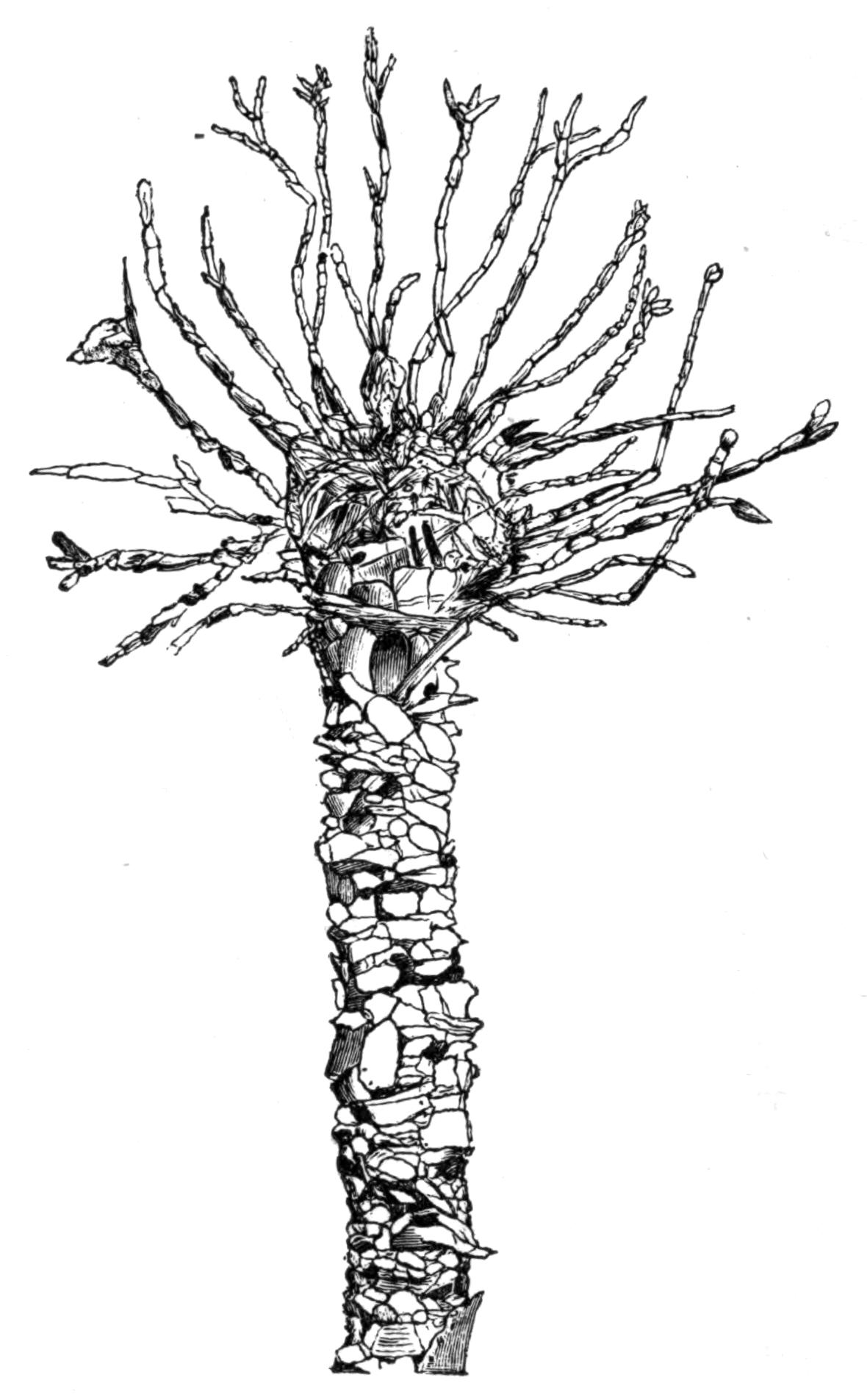 fig153