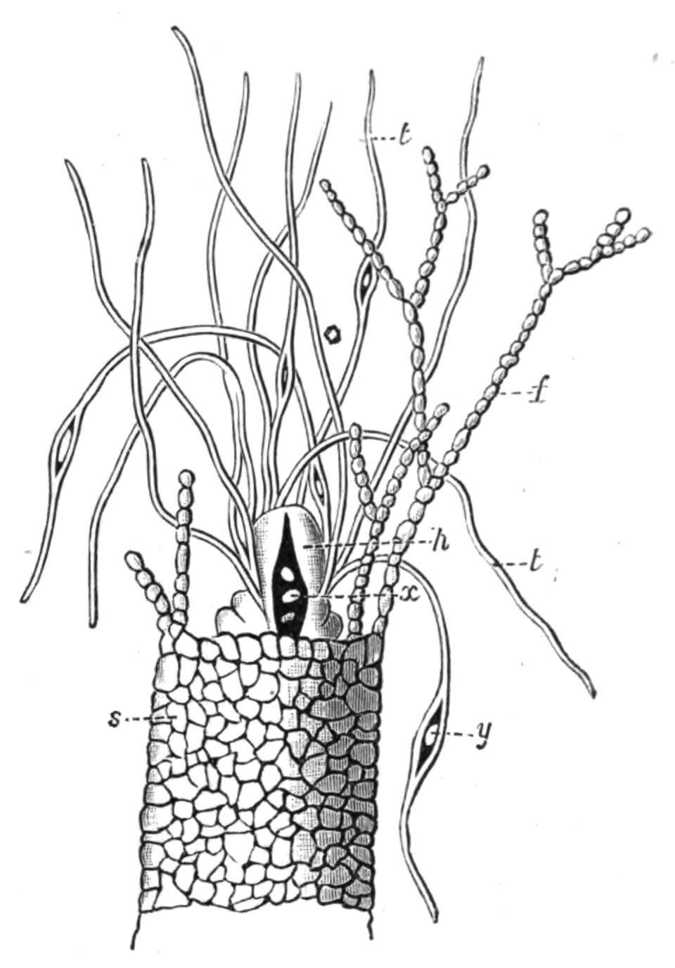 fig154