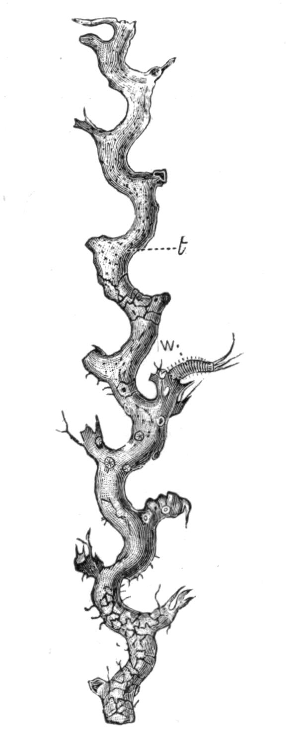 fig155