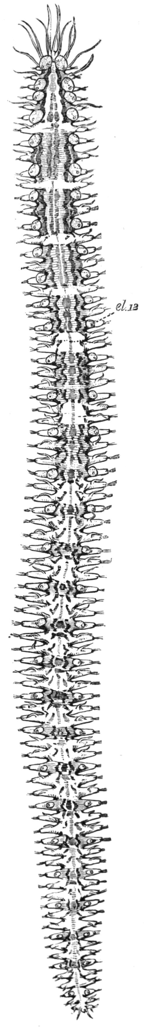 fig156