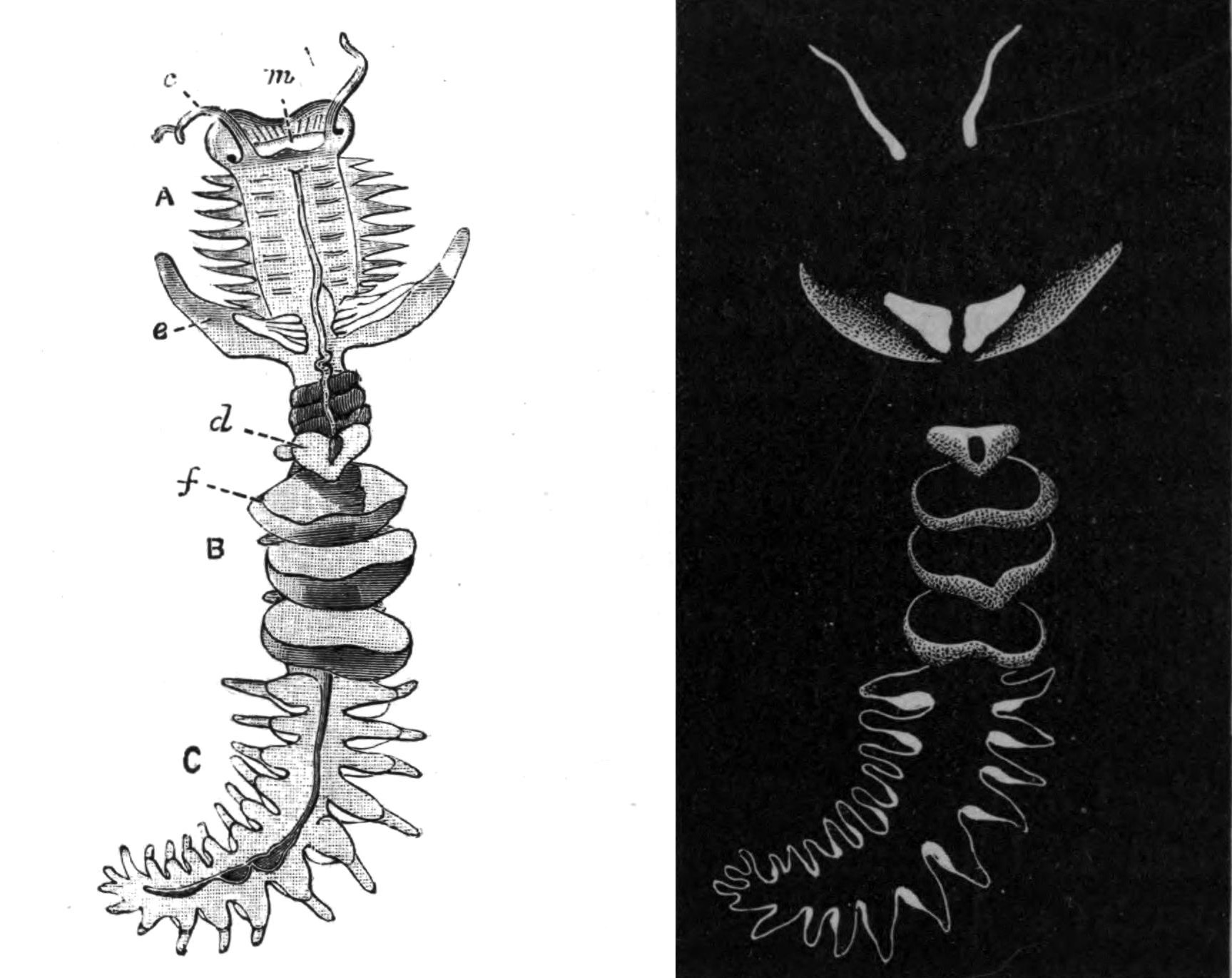 fig157