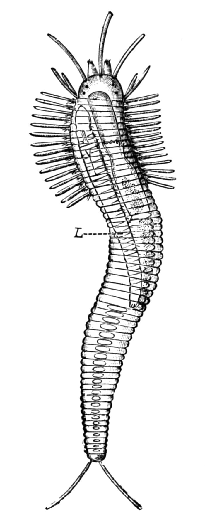 fig158