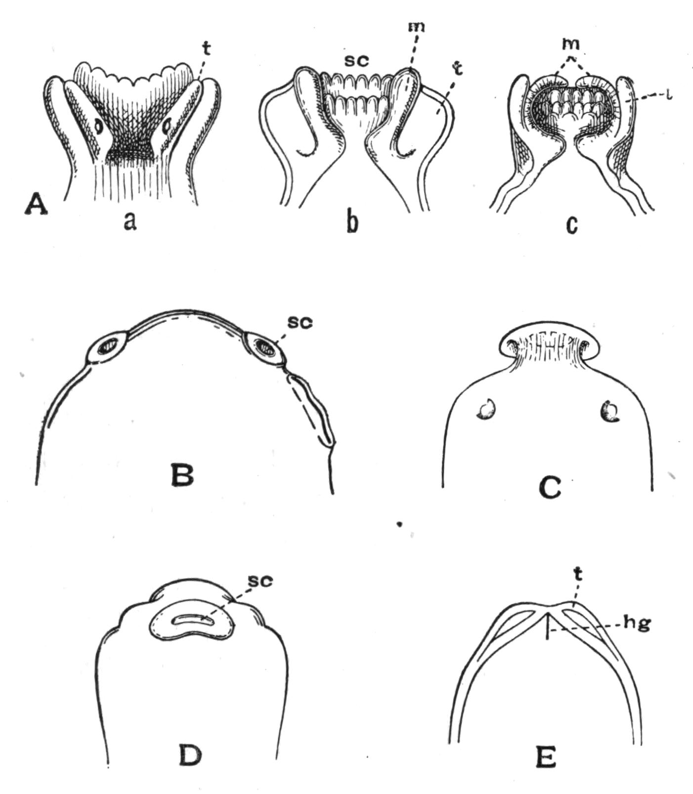 fig16
